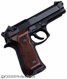 Gun